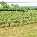 Gorgeous Home In Staubin De Cadelech Σπίτι διακοπών
