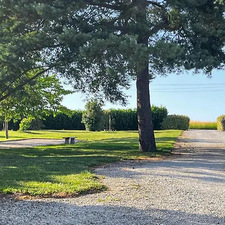 Gorgeous In Staubin De Cadelech *